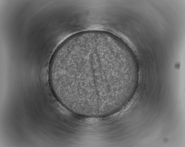 X0000101971212200808151330