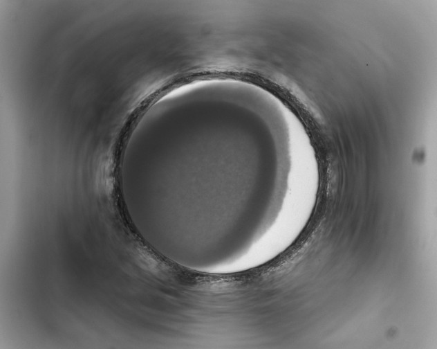 X0000101971213200808151330
