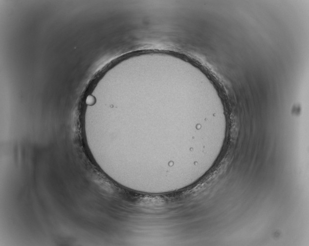 X0000101971215200808151330