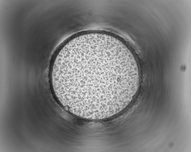 X0000101971216200808151330