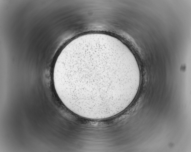 X0000101971218200808151330