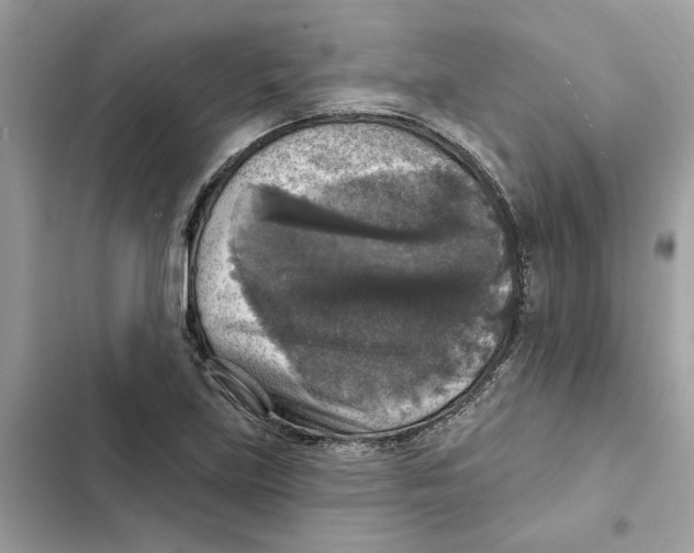 X0000101971219200808151330