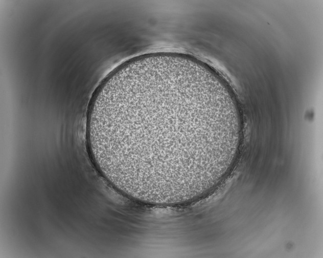 X0000101971220200808151330
