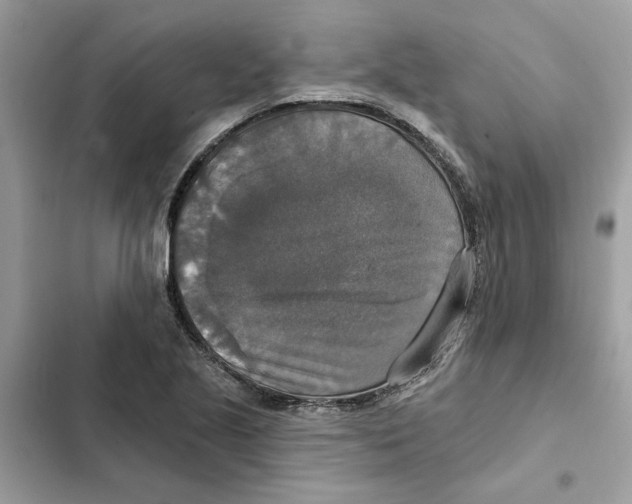 X0000101971221200808151330