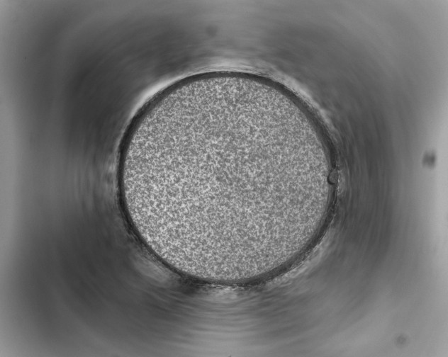 X0000101971222200808151330