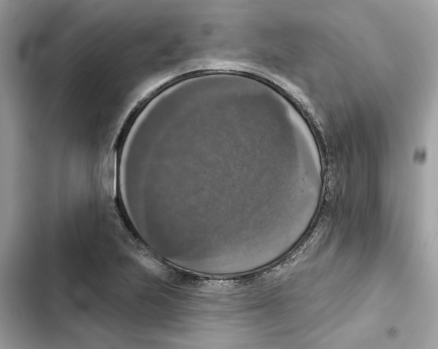 X0000101971223200808151330