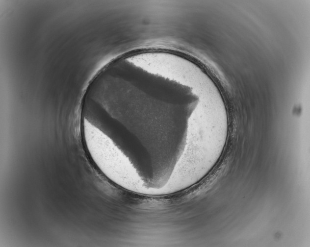 X0000101971224200808151330