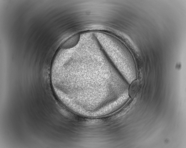 X0000101971225200808151330
