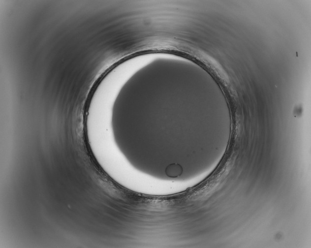 X0000101971226200808151330