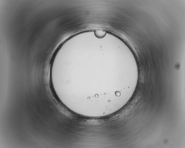 X0000101971227200808151330