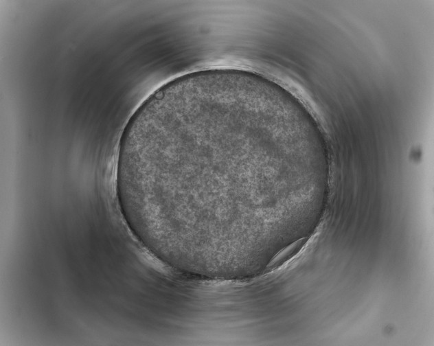 X0000101971228200808151330
