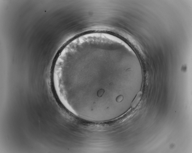 X0000101971229200808151330
