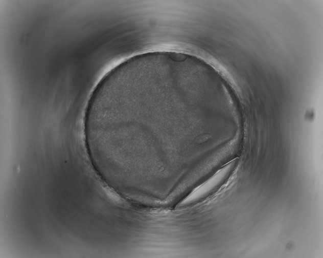 X0000101971230200808151330