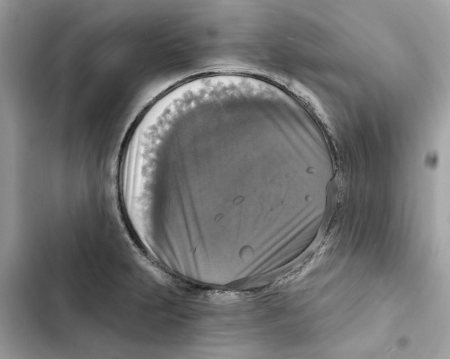 X0000101971231200808151330