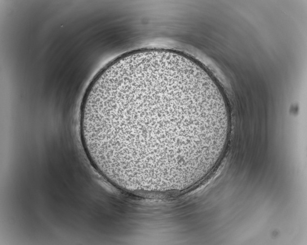 X0000101971232200808151330