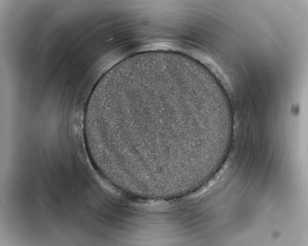 X0000101971233200808151330