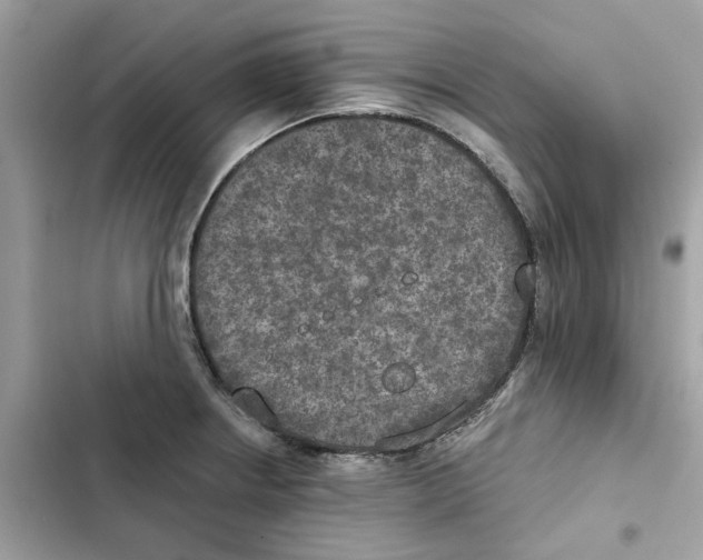 X0000101971234200808151330