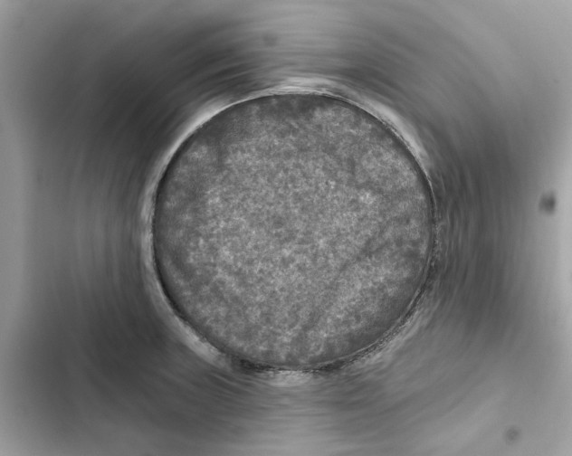X0000101971235200808151330