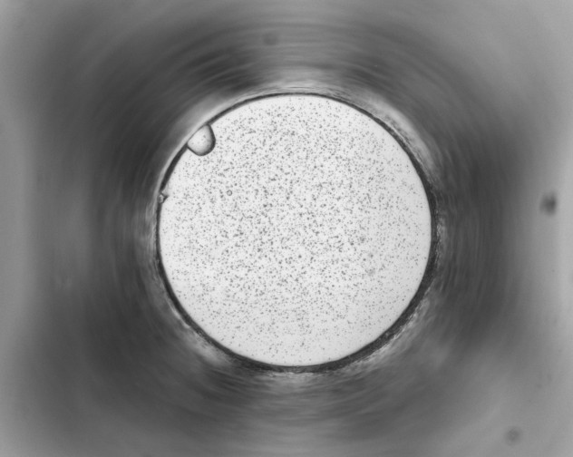 X0000101971236200808151330