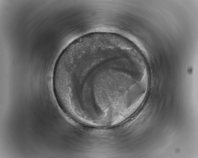 X0000101971237200808151330
