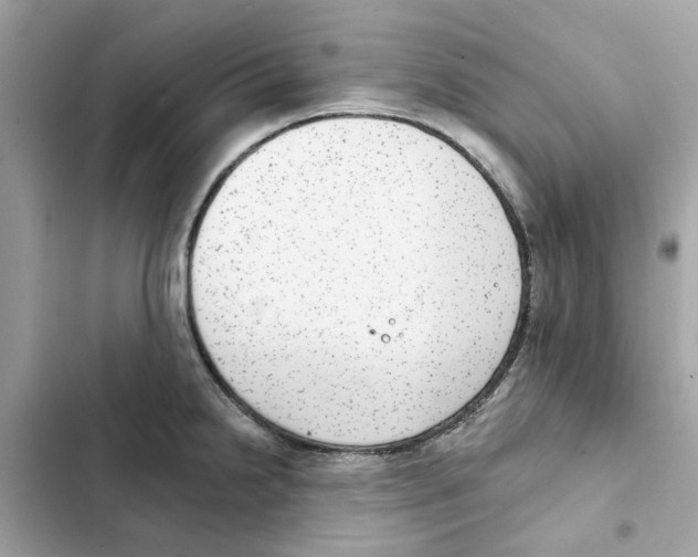 X0000101971238200808151330