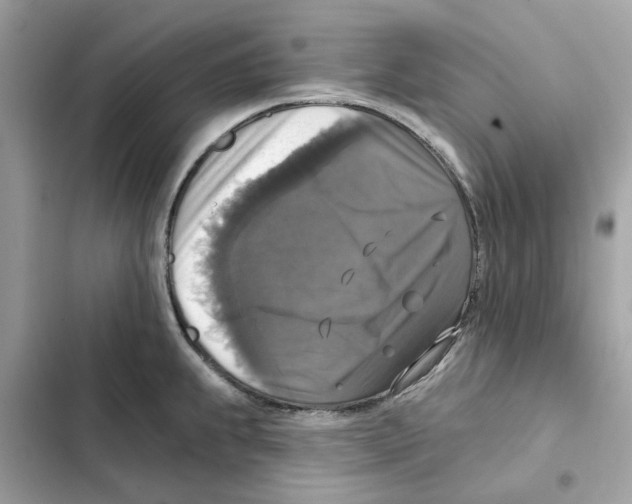 X0000101971239200808151330