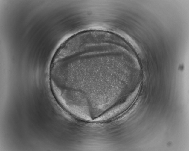 X0000101971240200808151330