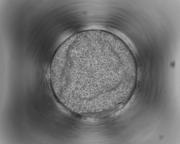 X0000101971241200808151330