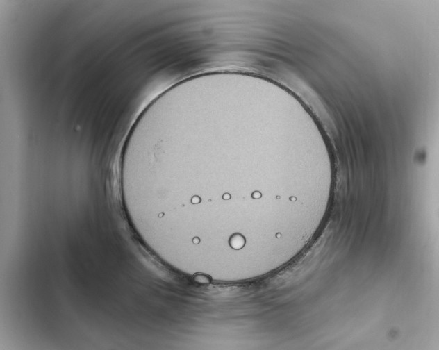 X0000101971242200808151330