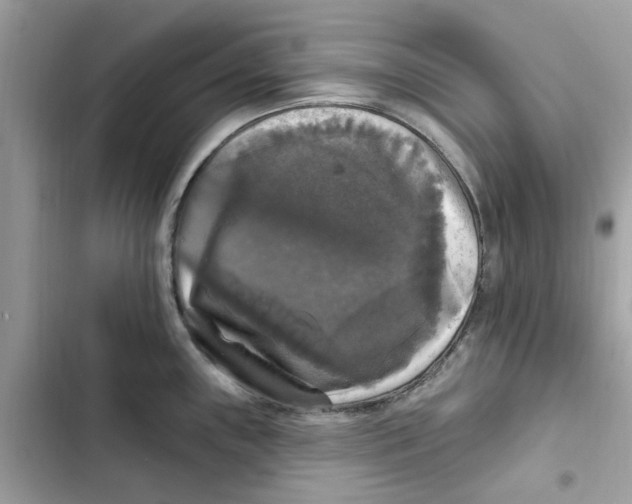 X0000101971243200808151330