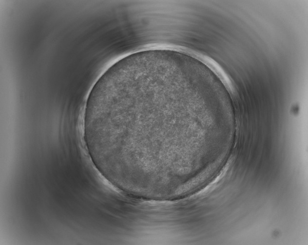 X0000101971244200808151330