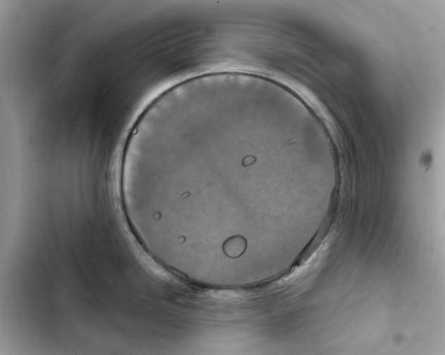 X0000101971246200808151330
