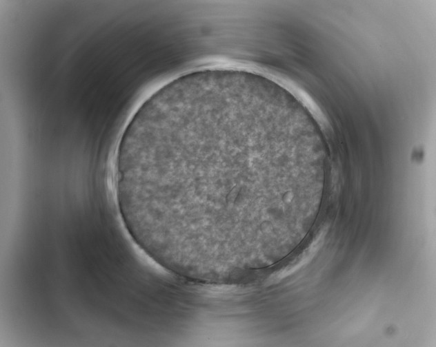X0000101971247200808151330