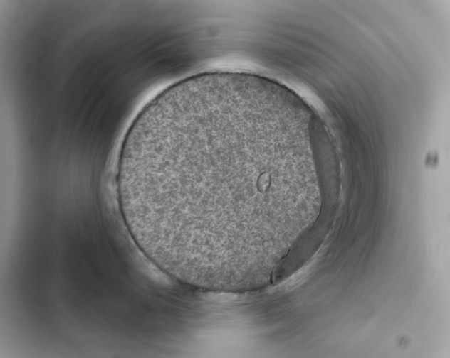 X0000101971248200808151330