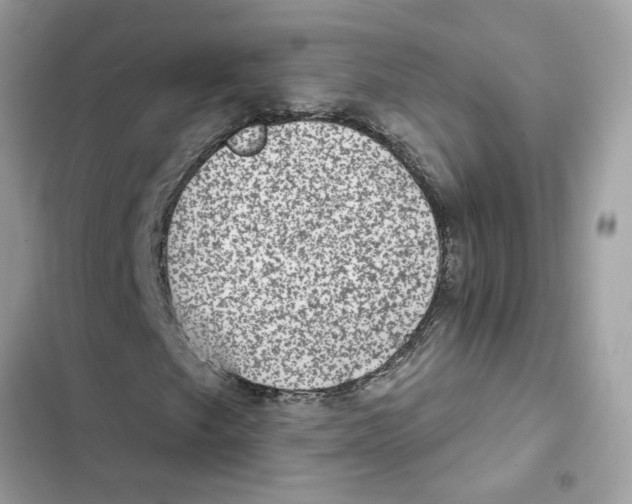 X0000101971249200808151330