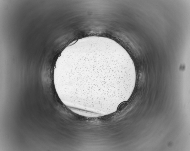 X0000101971250200808151330