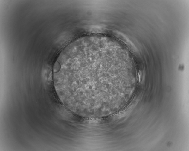 X0000101971251200808151330