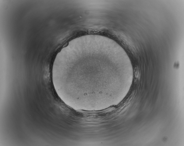 X0000101971252200808151330