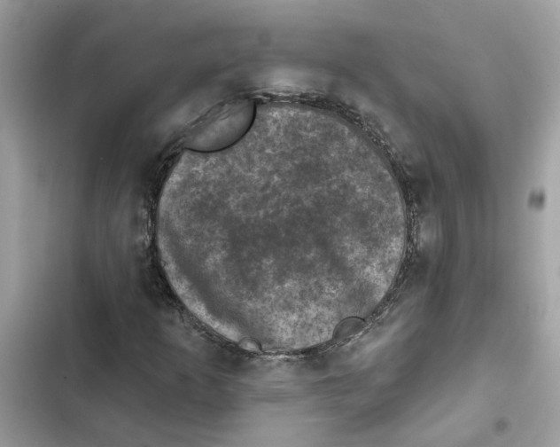 X0000101971253200808151330