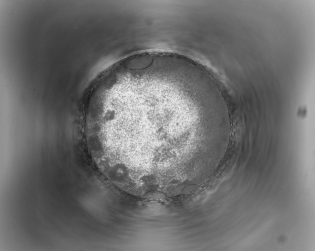 X0000101971255200808151330
