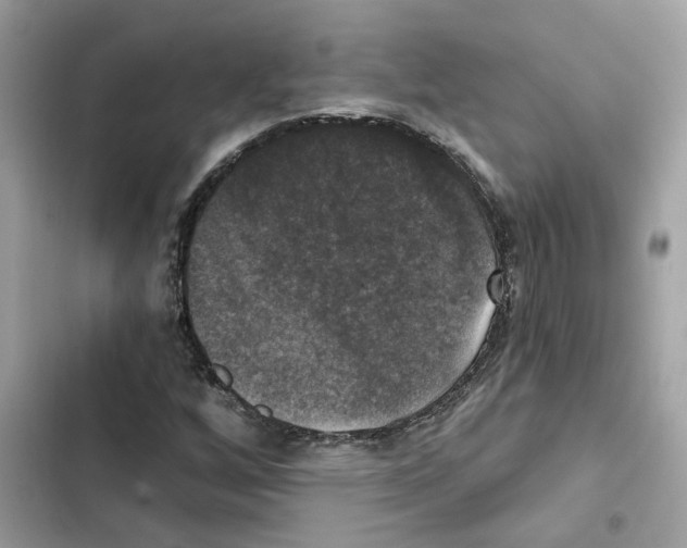 X0000101971256200808151330