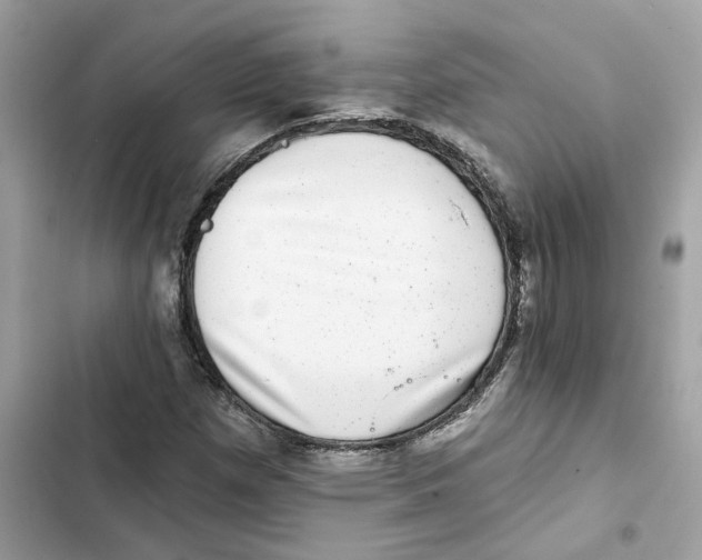 X0000101971257200808151329
