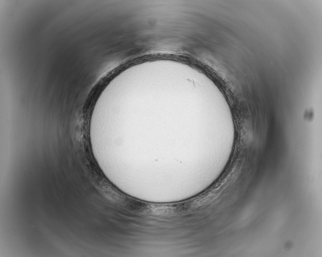 X0000101971258200808151329