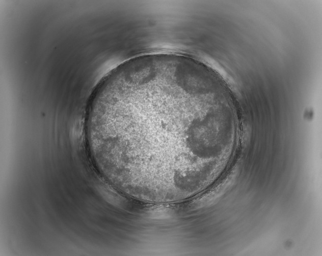 X0000101971259200808151329