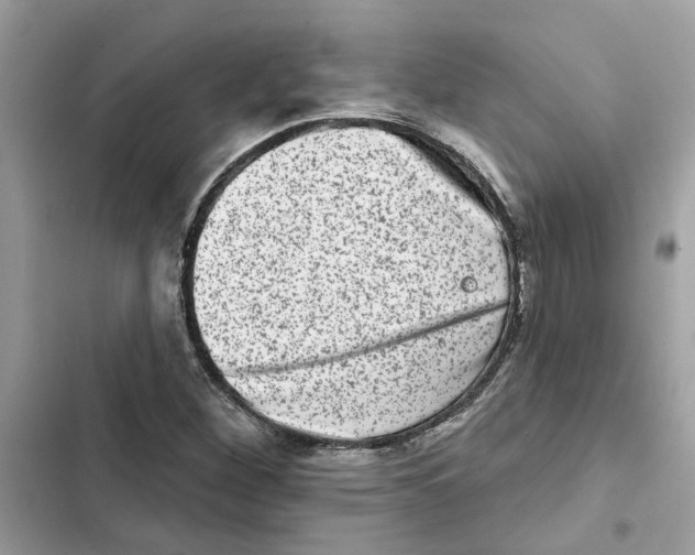 X0000101971260200808151329