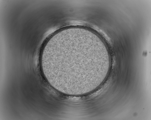 X0000101971261200808151329