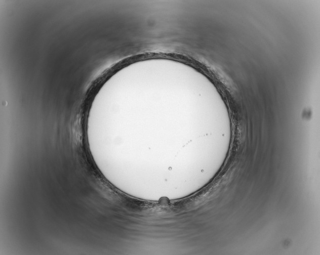 X0000101971262200808151329