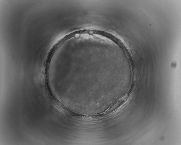 X0000101971263200808151329