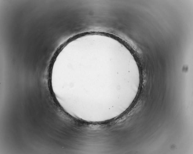 X0000101971264200808151329