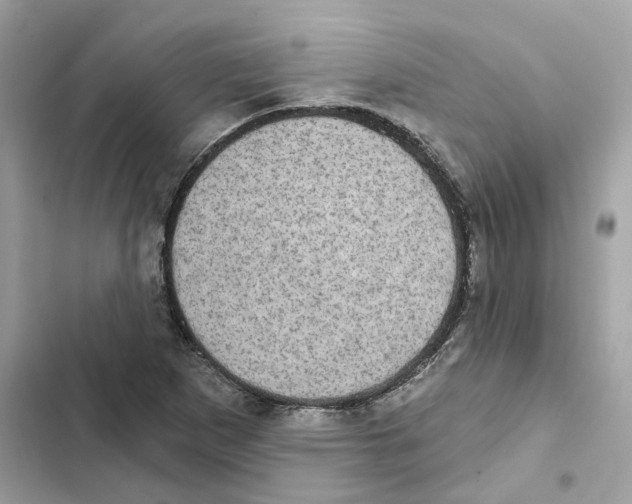 X0000101971265200808151329